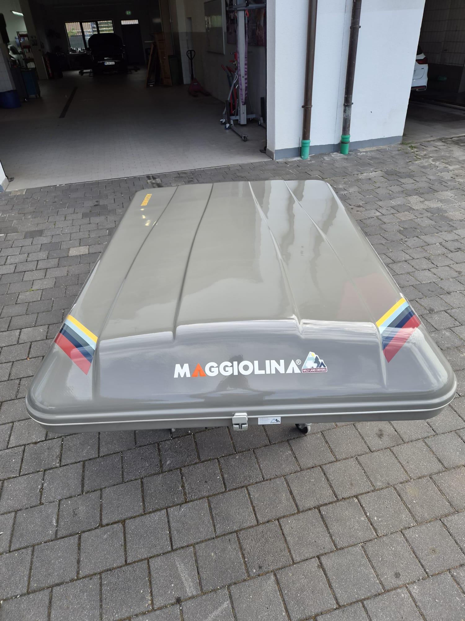 Maggiolina Carbon Fiber 360 Medium - Ex-Mietzelt