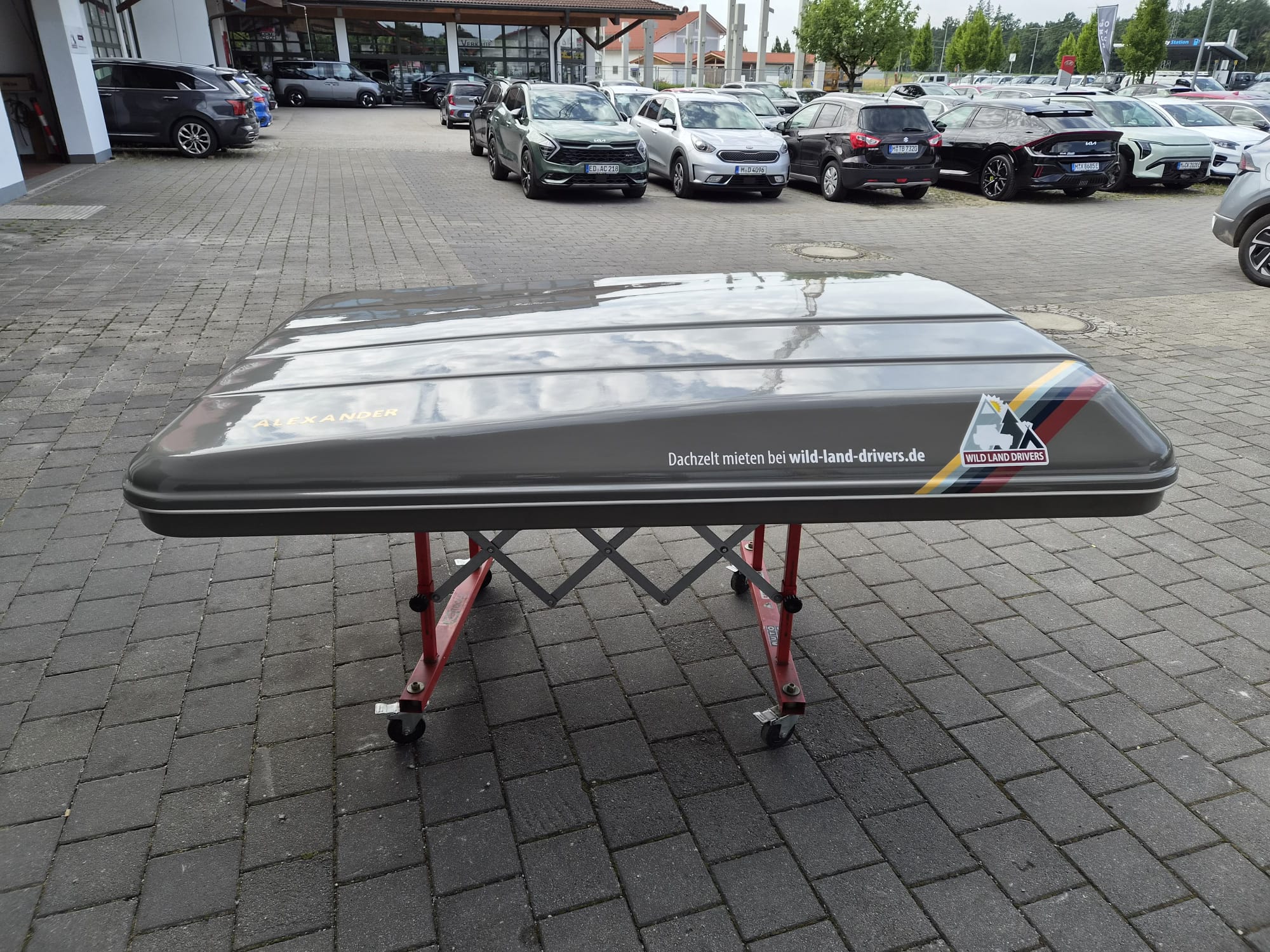 Maggiolina Carbon Fiber 360 Medium - Ex-Mietzelt